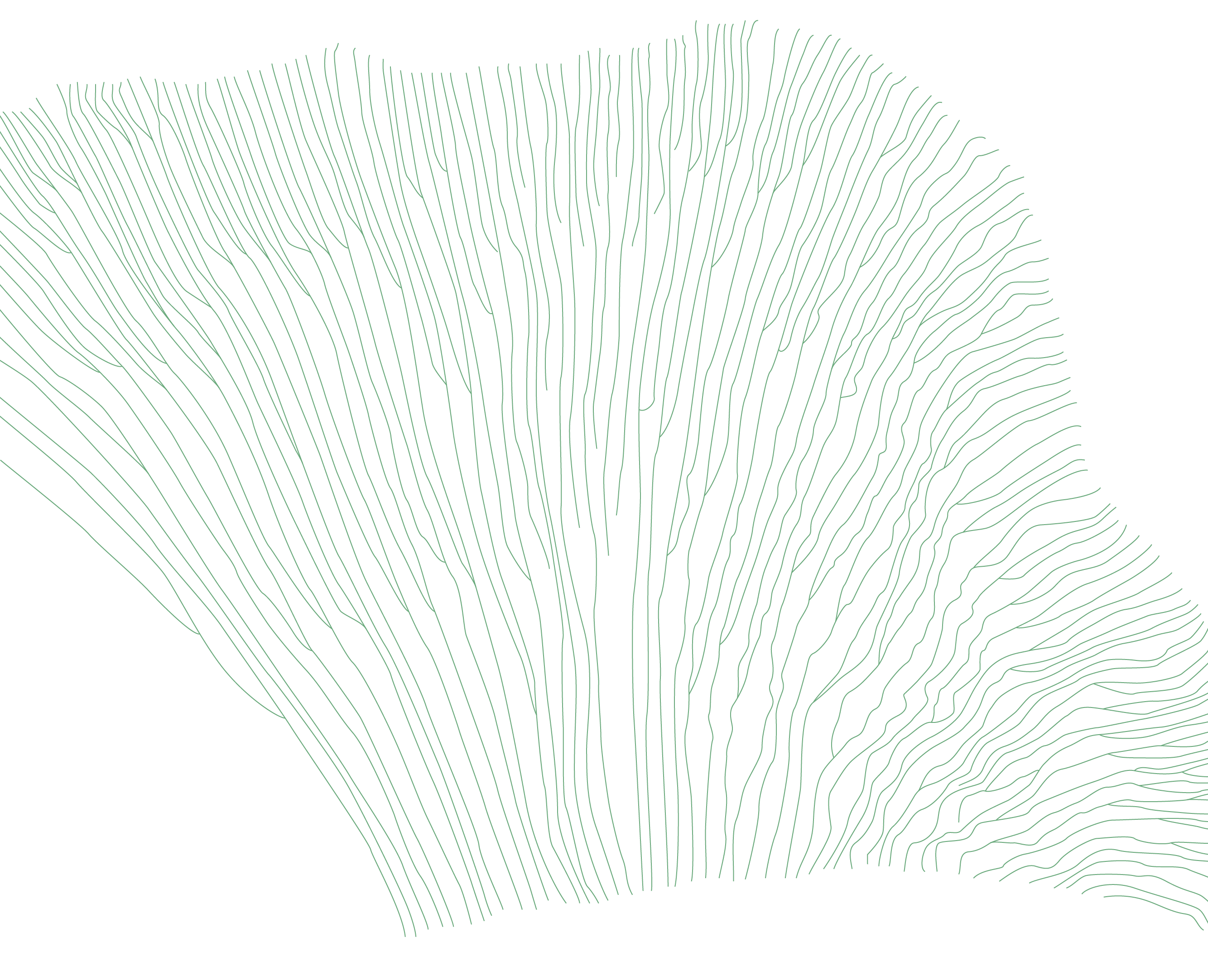 champignon